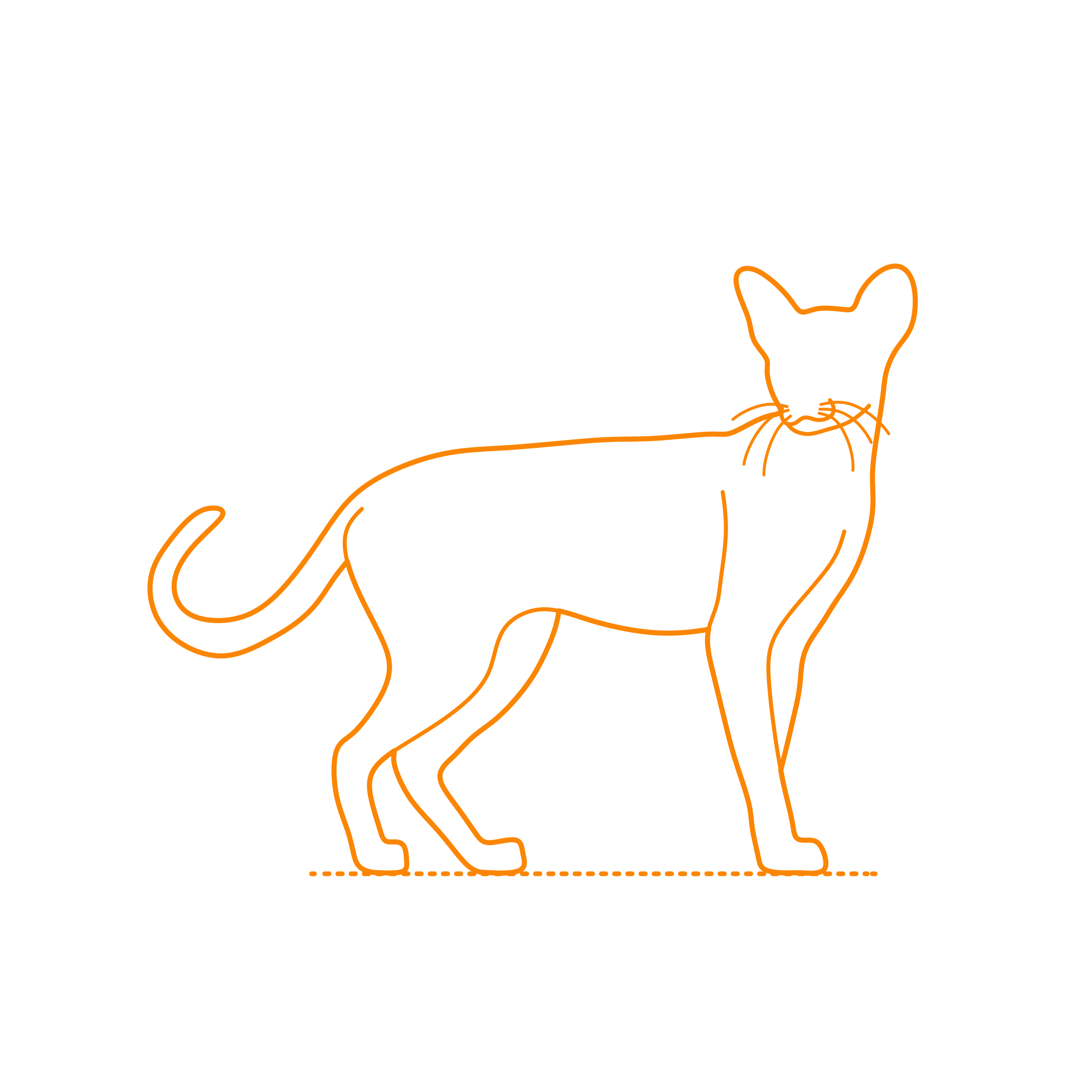 Animals Cats Oriental Shorthair Cat Vinyl Svg File Free Vectors